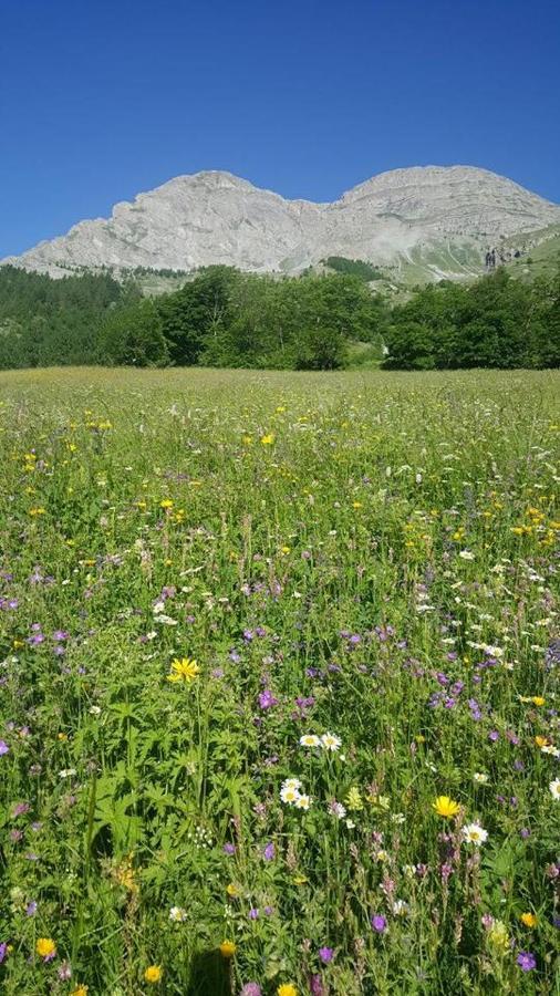 Les Marmottes D Estenc Εξωτερικό φωτογραφία