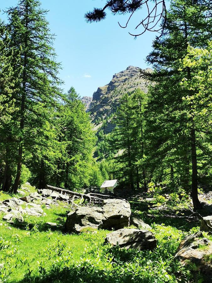 Les Marmottes D Estenc Εξωτερικό φωτογραφία
